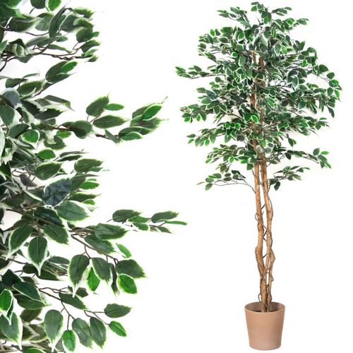 PLANTASIA Műnövény fikusz 190 cm